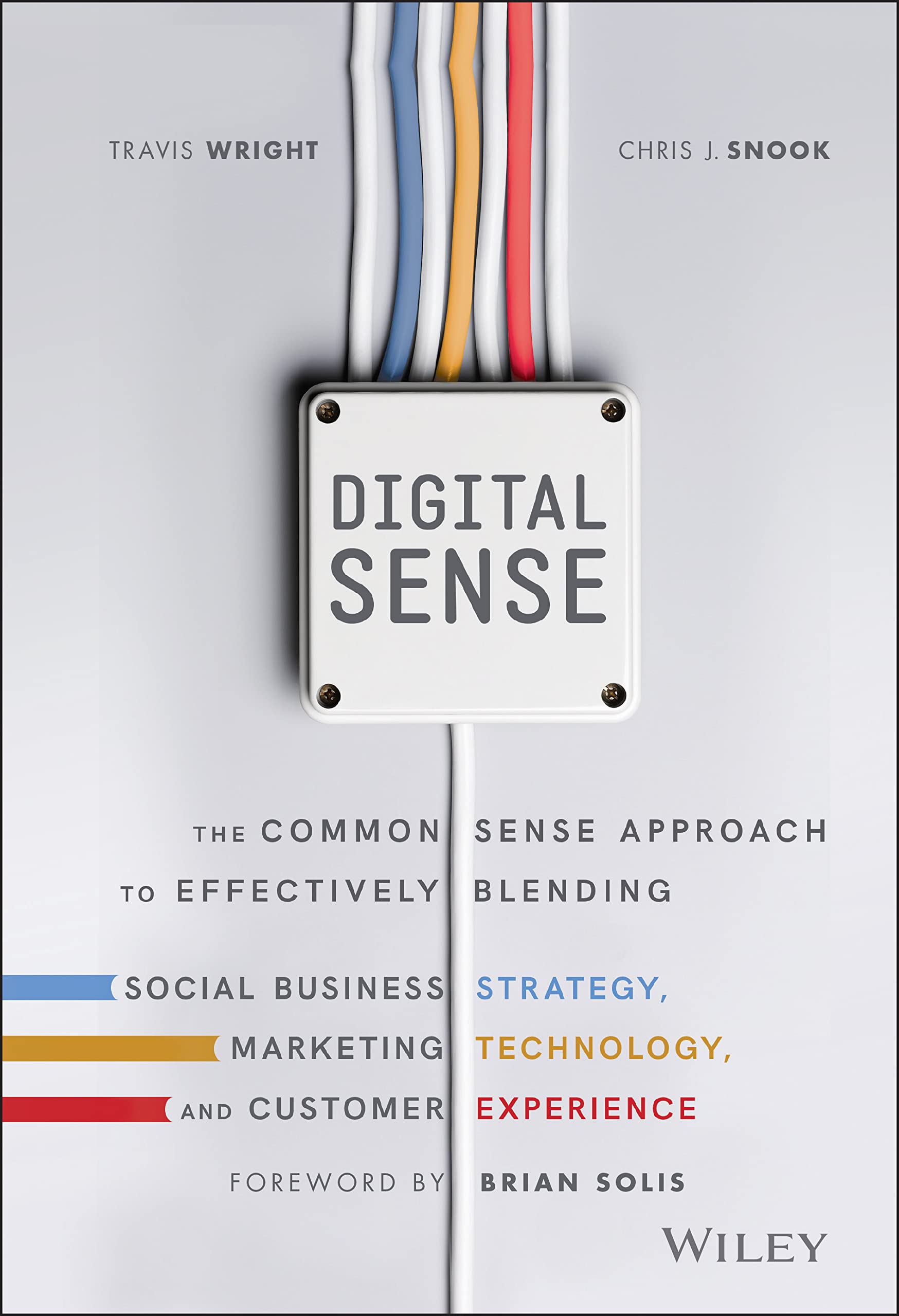 Digital Sense: The Common Sense Approach to Effectively Blending Social Business Strategy, Marketing Technology, and Customer Ex,Used