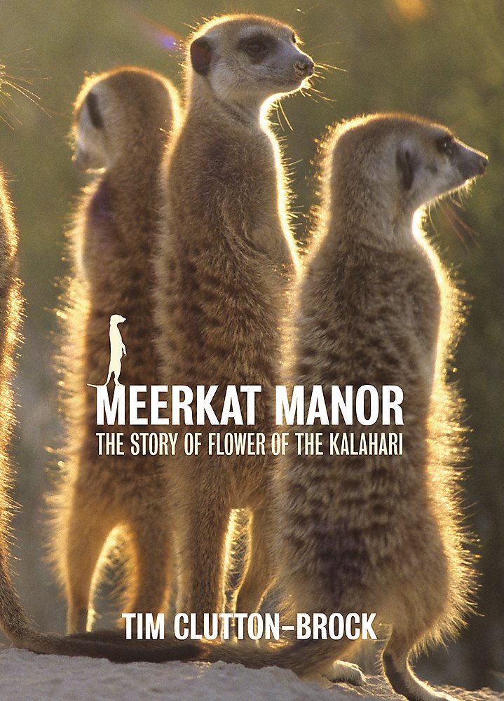 Meerkat Manor,Used