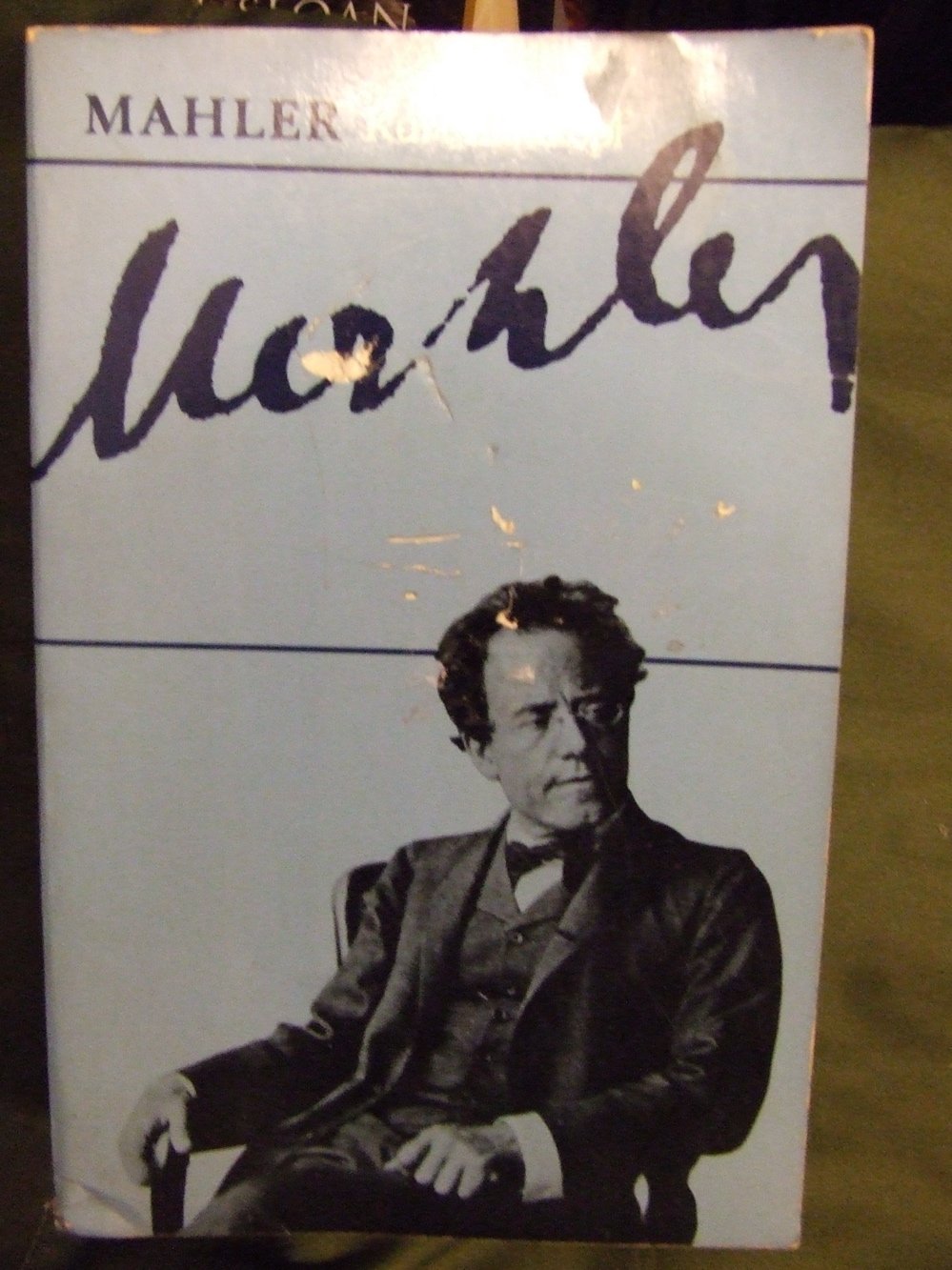 Gustav Mahler (English and German Edition),Used
