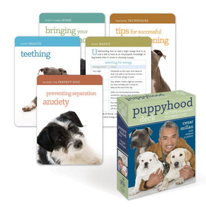 Puppyhood Deck: 50 Tips For Raising The Perfect Dog,Used