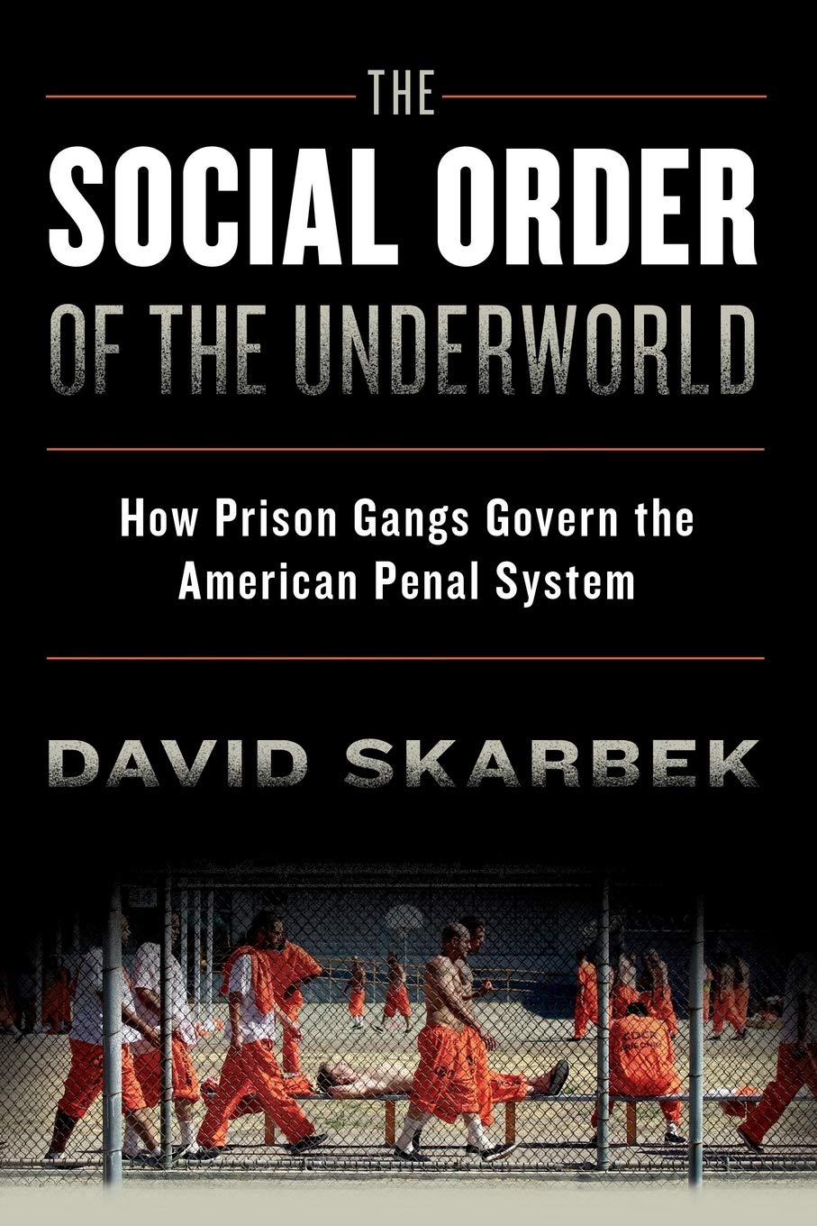 The Social Order of the Underworld: How Prison Gangs Govern the American Penal System,New
