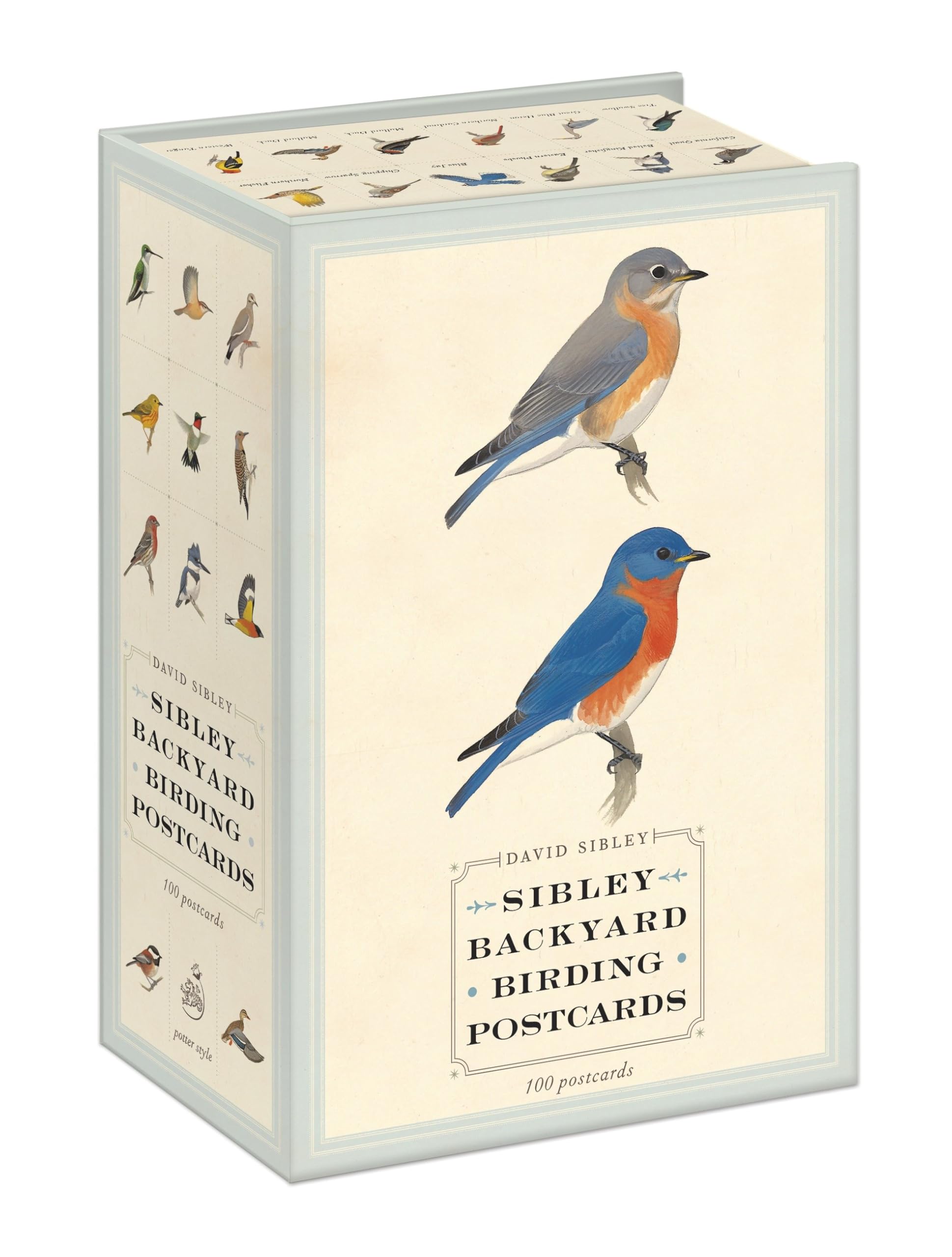 Sibley Backyard Birding Postcards: 100 Postcards (Sibley Birds),New