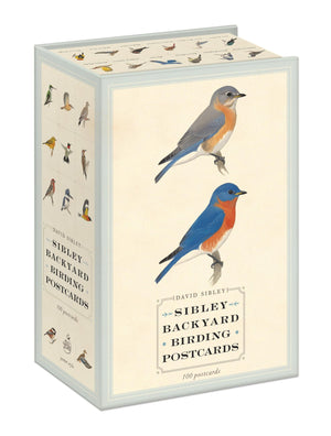 Sibley Backyard Birding Postcards: 100 Postcards (Sibley Birds),New