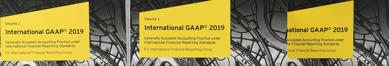 International GAAP 2019,Used