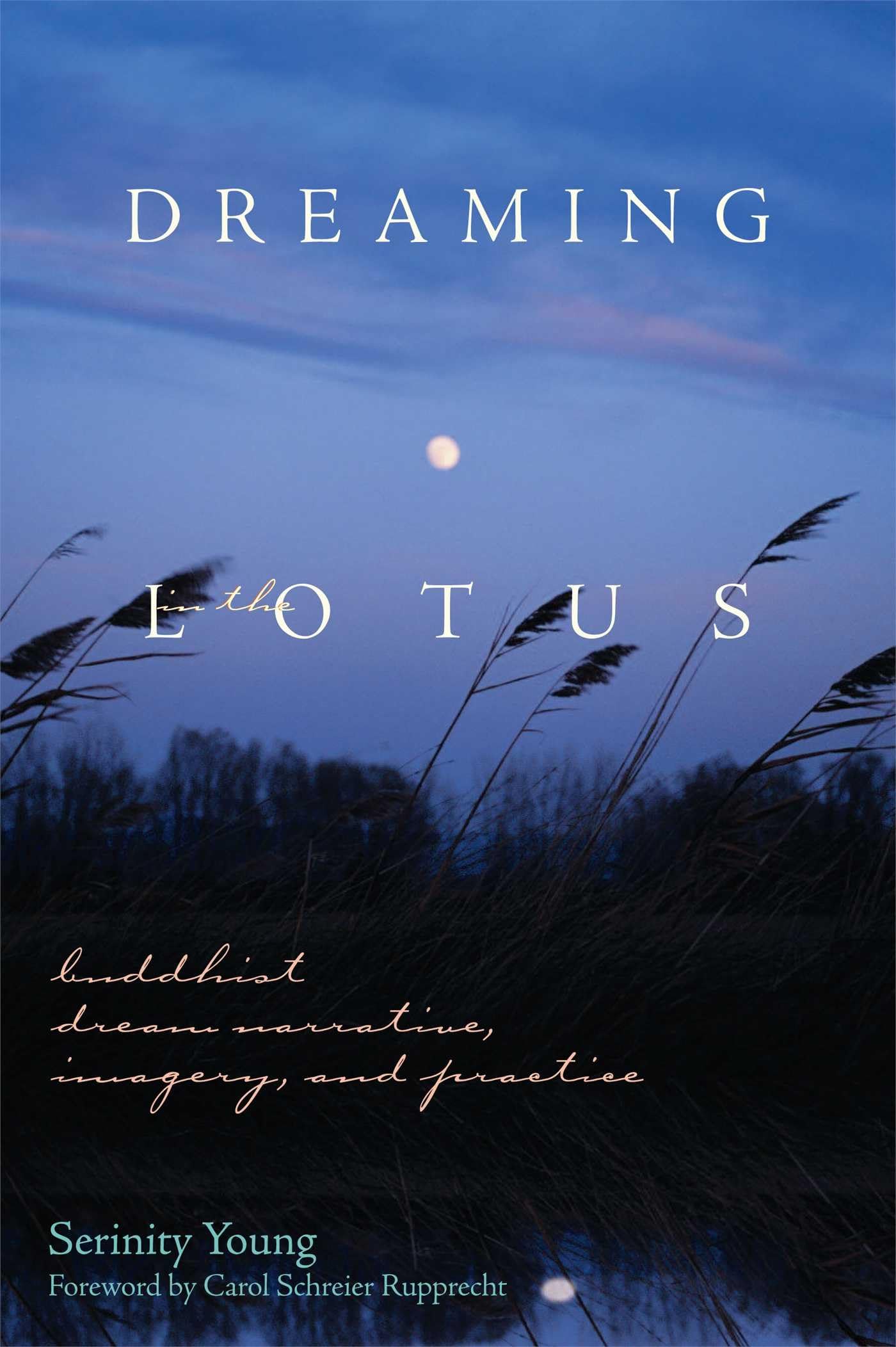 Dreaming In The Lotus: Buddhist Dream Narrative, Imagery, And Practice,Used
