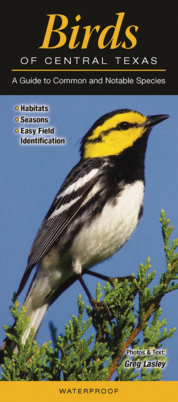 Birds of Central Texas: A Guide to Common & Notable Species (Quick Reference Guides),New