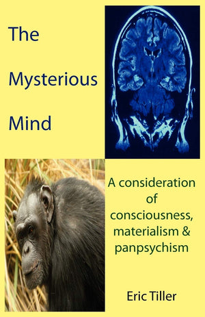 The Mysterious Mind: A Consideration Of Consciousness, Materialism & Panpsychism,Used