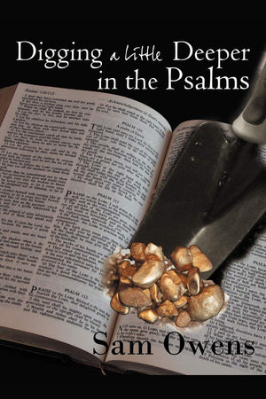 Digging A Little Deeper In The Psalms: A Book Of Biblical Inspiration,Used