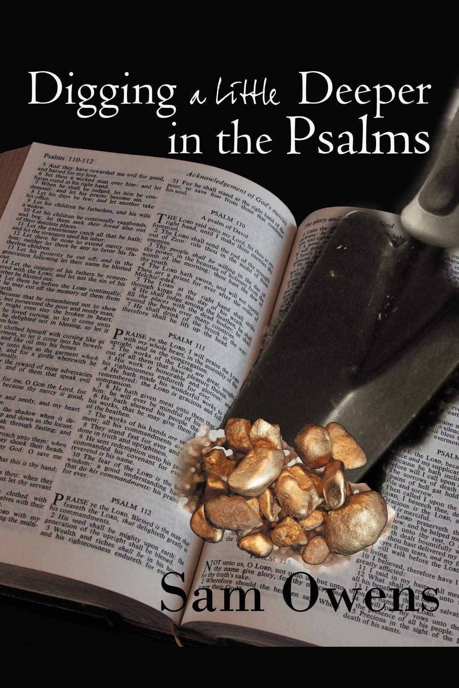 Digging A Little Deeper In The Psalms: A Book Of Biblical Inspiration,Used