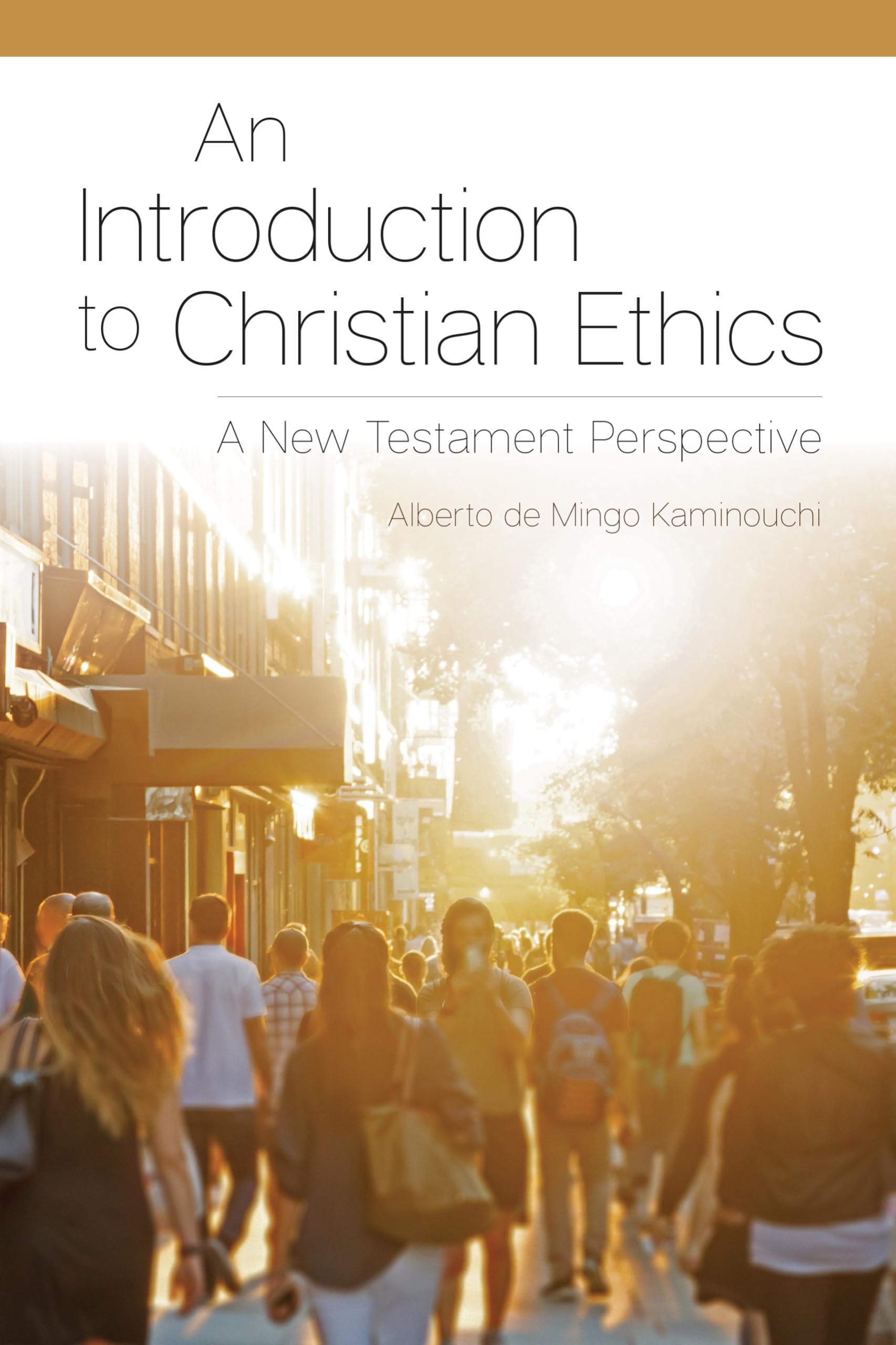 An Introduction To Christian Ethics: A New Testament Perspective,Used