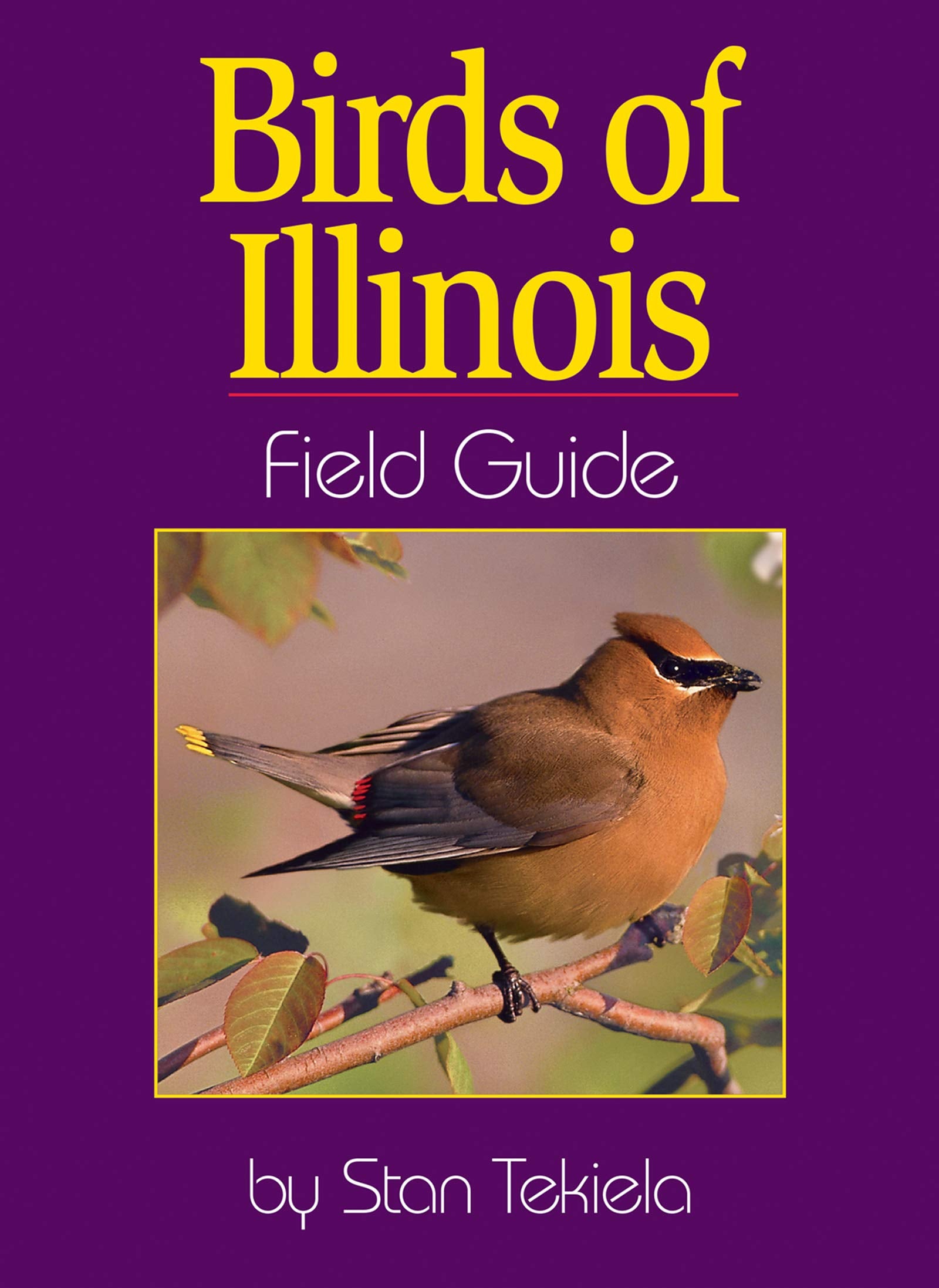 Birds of Illinois Field Guide,Used