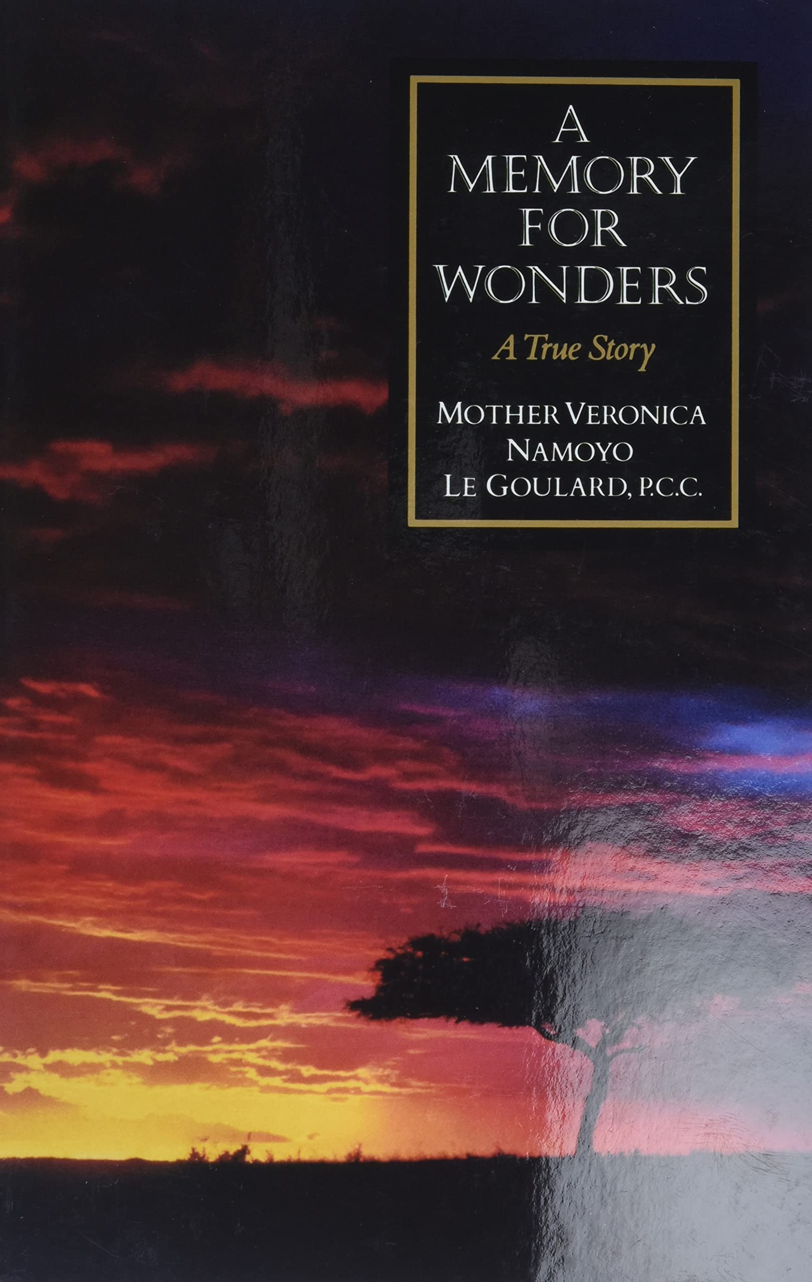A Memory for Wonders: A True Story,Used