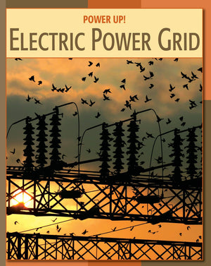 Electric Power Grid (21st Century Skills Library: Power Up!),Used