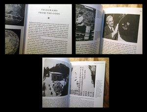 The Comet is Coming!: The Feverish Legacy of Mr. Halley,Used