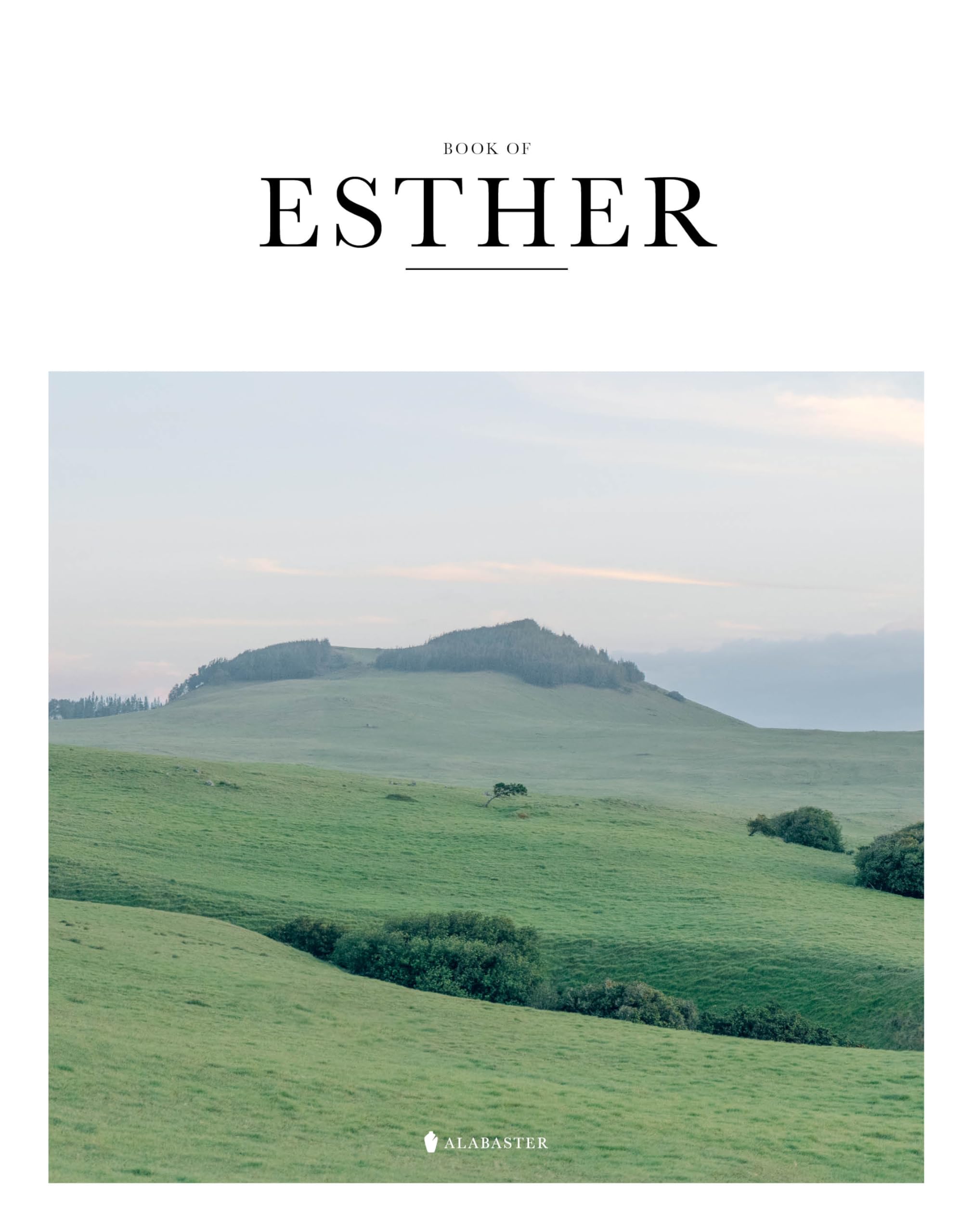 Book of Esther  Alabaster Bible,New