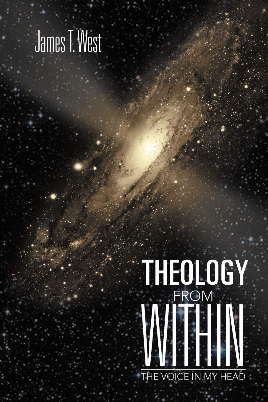 Theology From Within: The Voice In My Head,Used