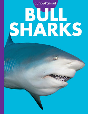 Curious About Bull Sharks