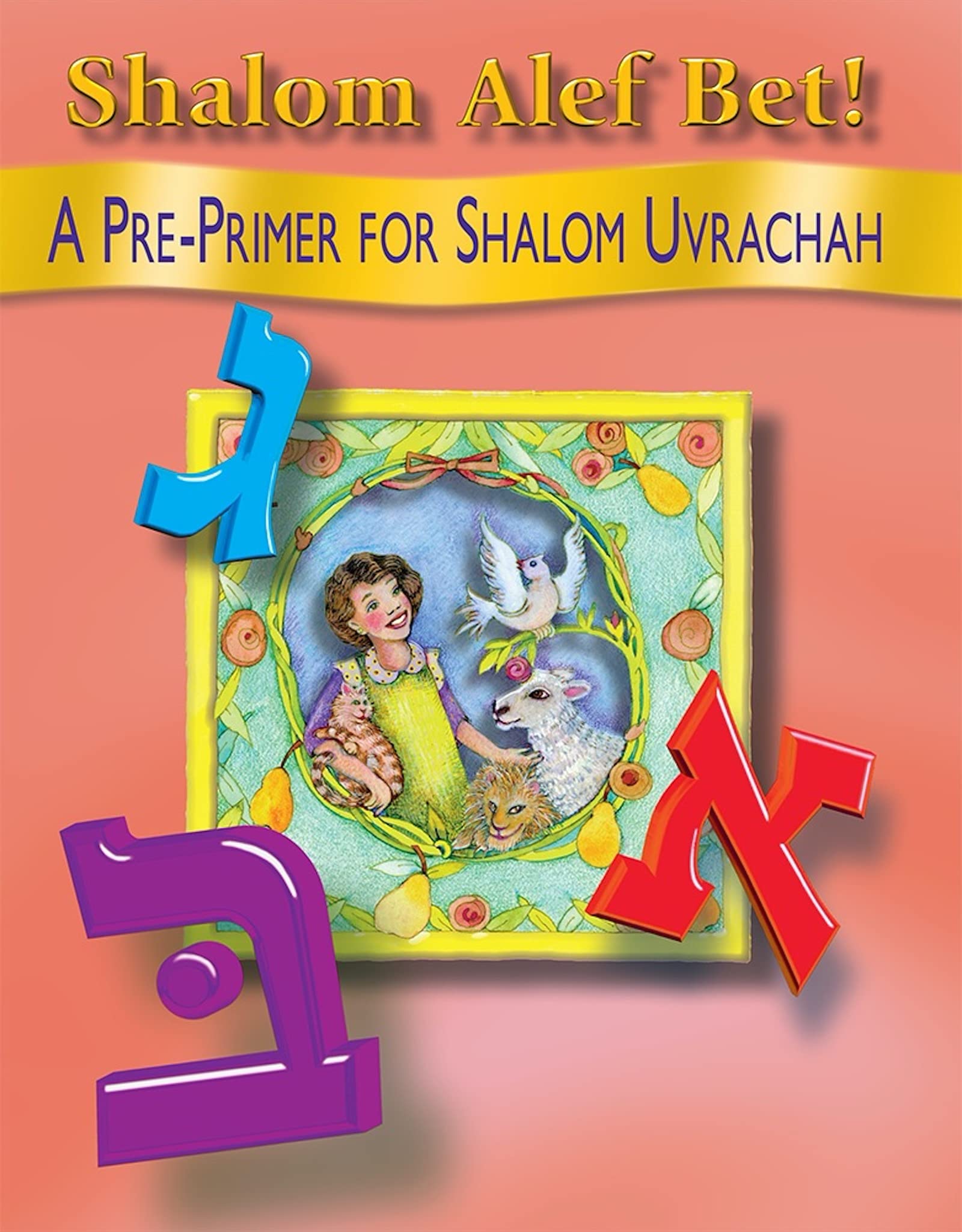 Shalom Alef Bet (Hebrew Edition),Used