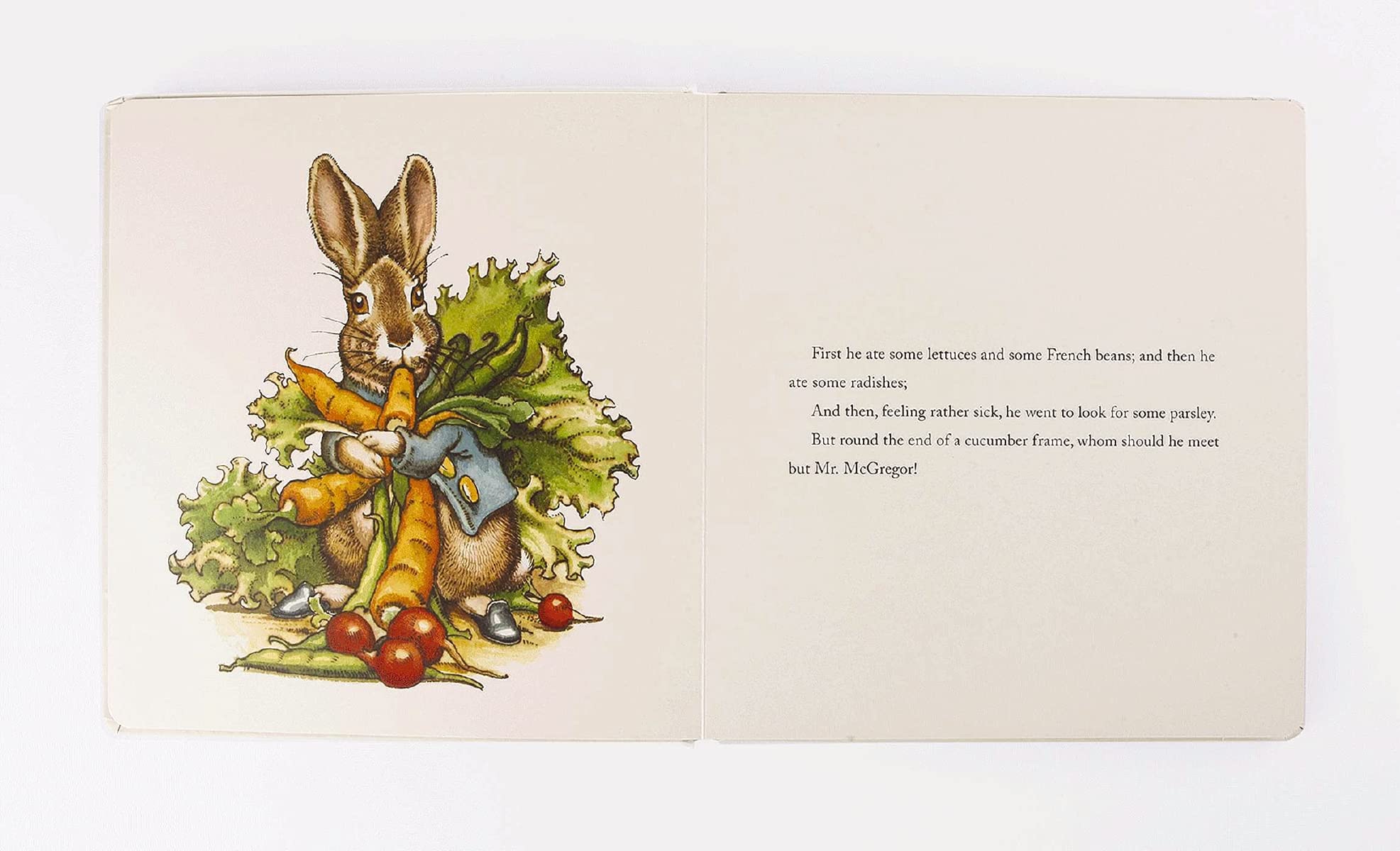 The Classic Tale of Peter Rabbit Oversized Padded Board Book: The Classic Edition (13) (Oversized Padded Board Books),Used