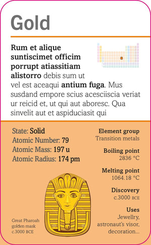 Our World in Pictures: The Elements Flash Cards (DK Our World in Pictures),Used