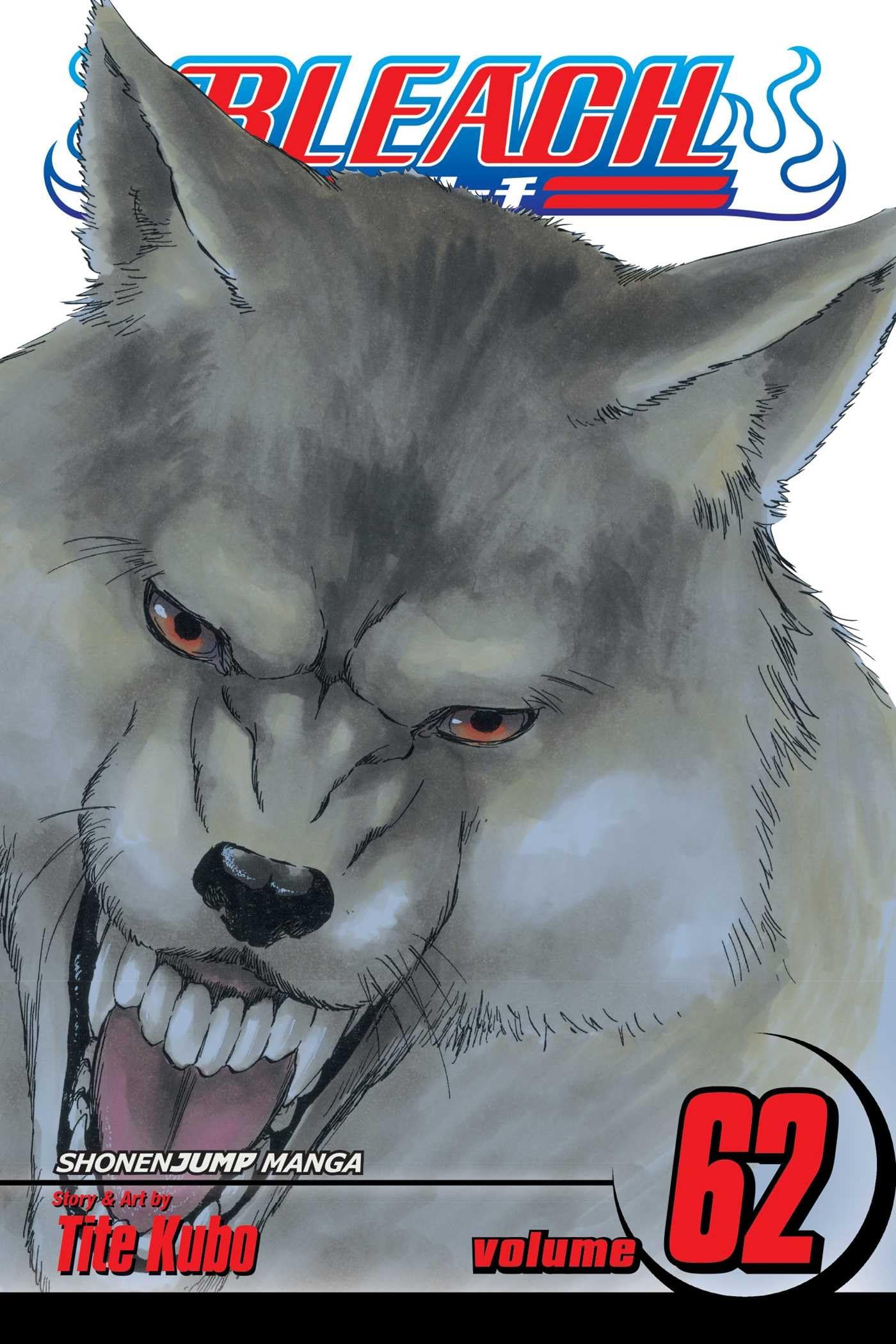 Bleach, Vol. 62 (62),Used