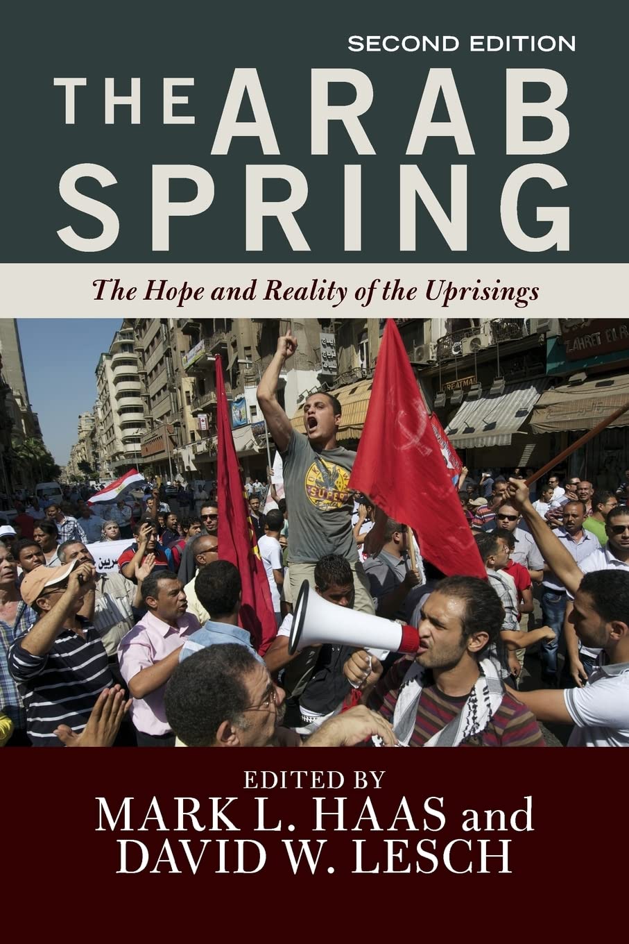 The Arab Spring: The Hope And Reality Of The Uprisings,Used