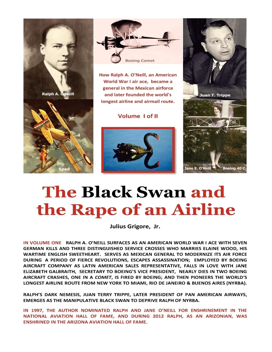 The Black Swan and the Rape of an Airline,New