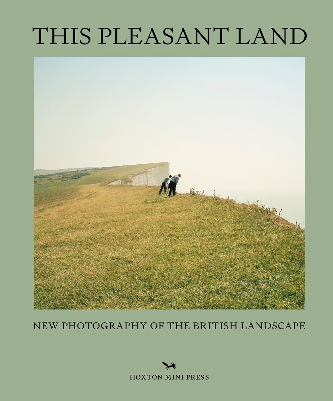 This Pleasant Land: New Photography Of The British Landscape,Used