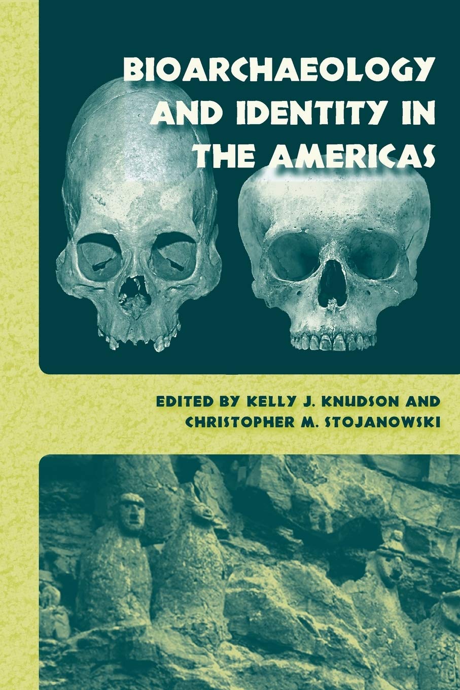 Bioarchaeology And Identity In The Americas (Bioarchaeological Interpretations Of The Human Past: Local, Regional, And Global),Used