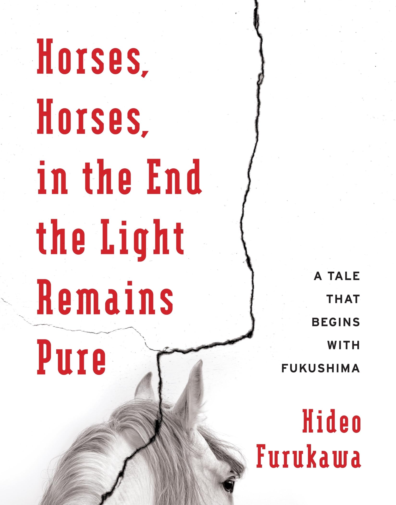 Horses, Horses, in the End the Light Remains Pure: A Tale That Begins with Fukushima (Weatherhead Books on Asia),Used