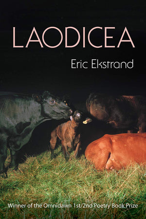 Laodicea,Used