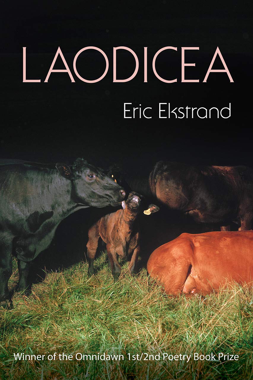 Laodicea,Used