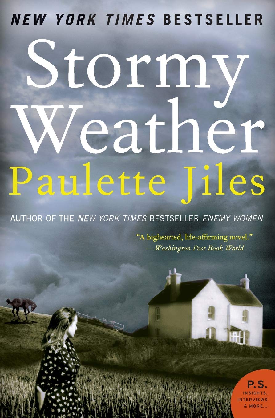 Stormy Weather: A Novel,Used
