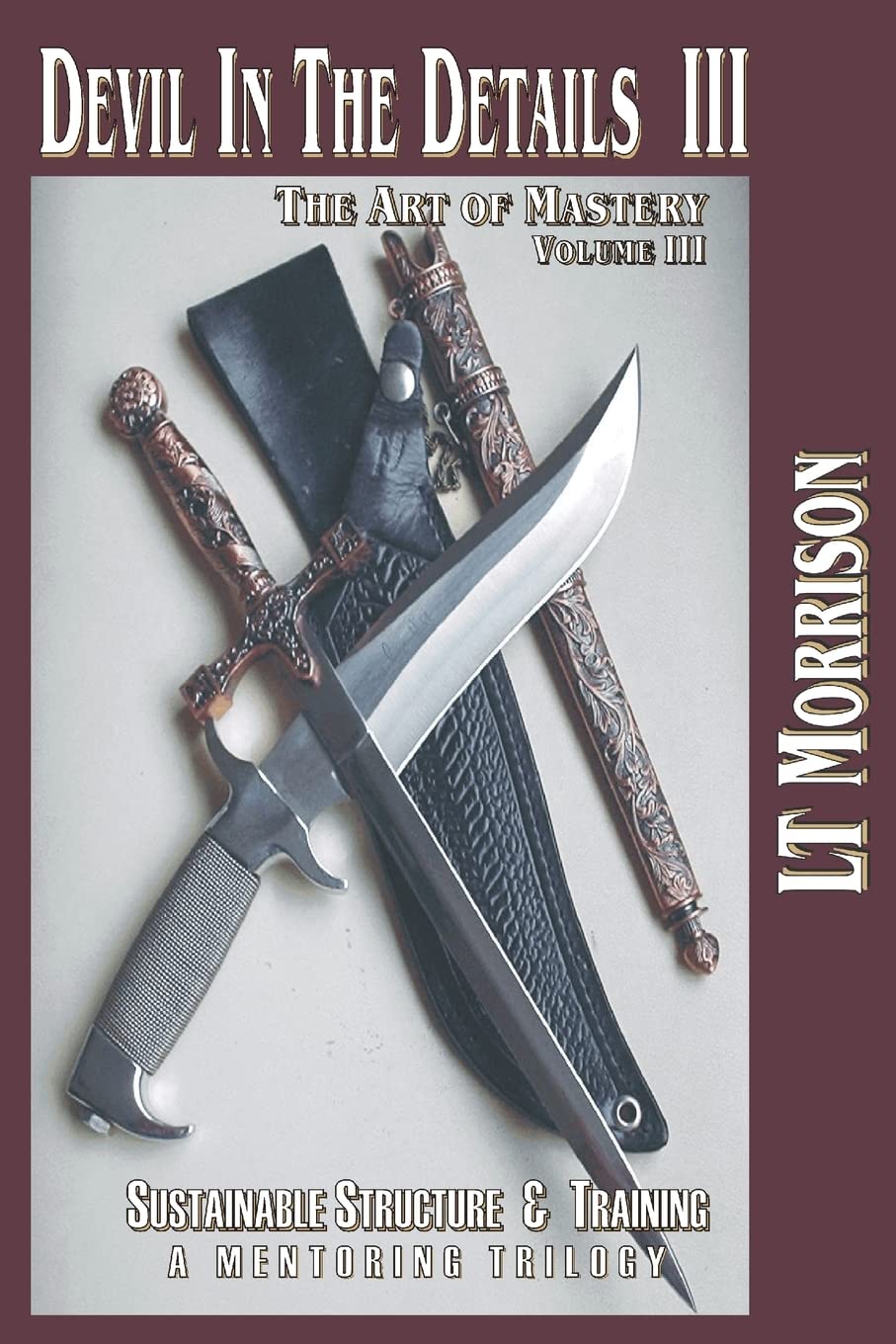 Devil In The Details Iii  The Art Of Mastery A Mentoring Trilogy: Volume Iii 'Sustainable Structure & Training' (The Devil In ,Used