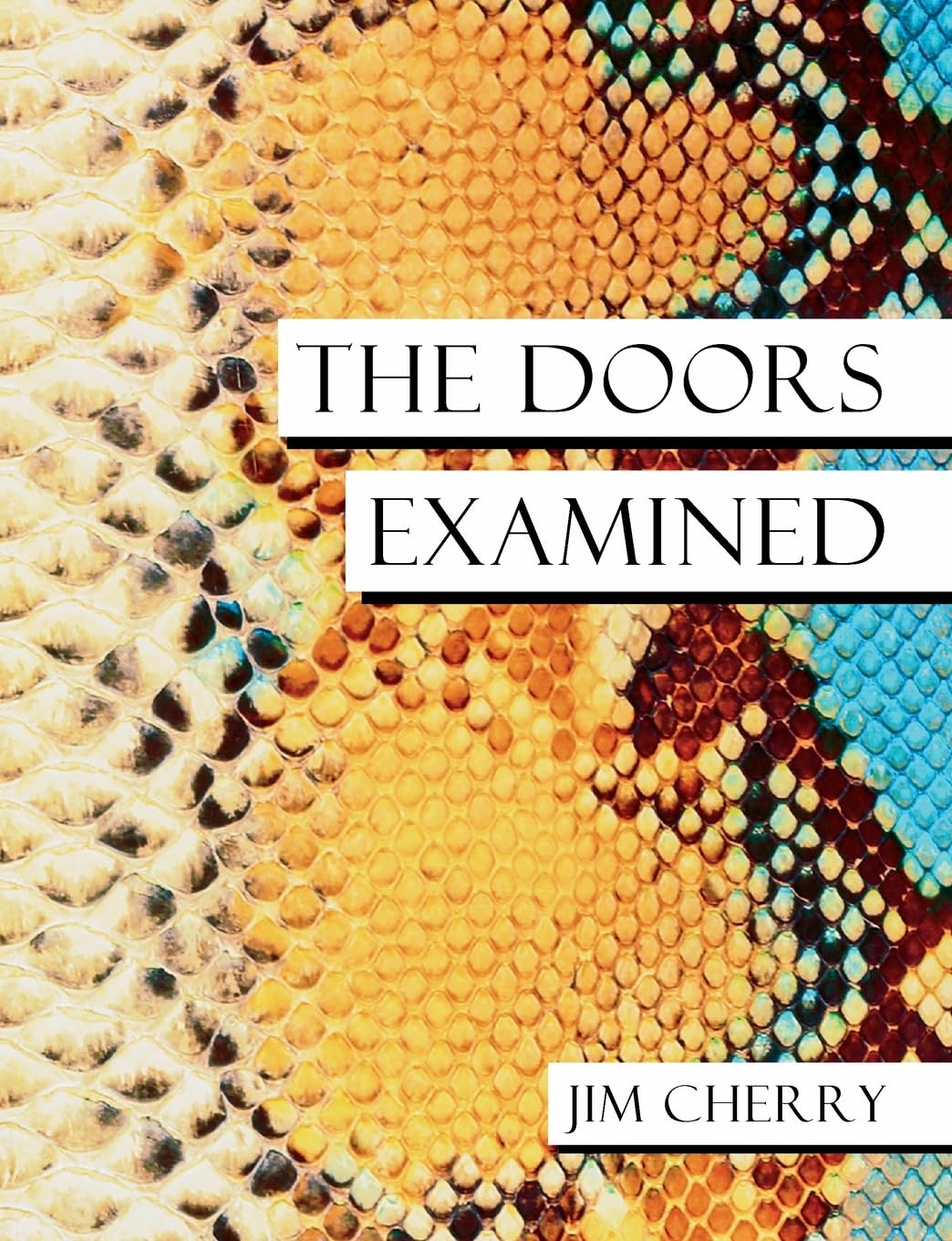 The Doors Examined (Music Biography),Used
