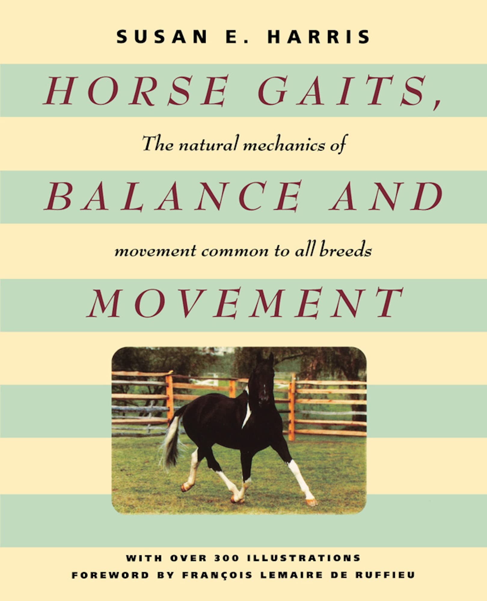 Horse Gaits, Balance And Movement