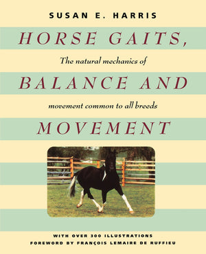 Horse Gaits, Balance And Movement