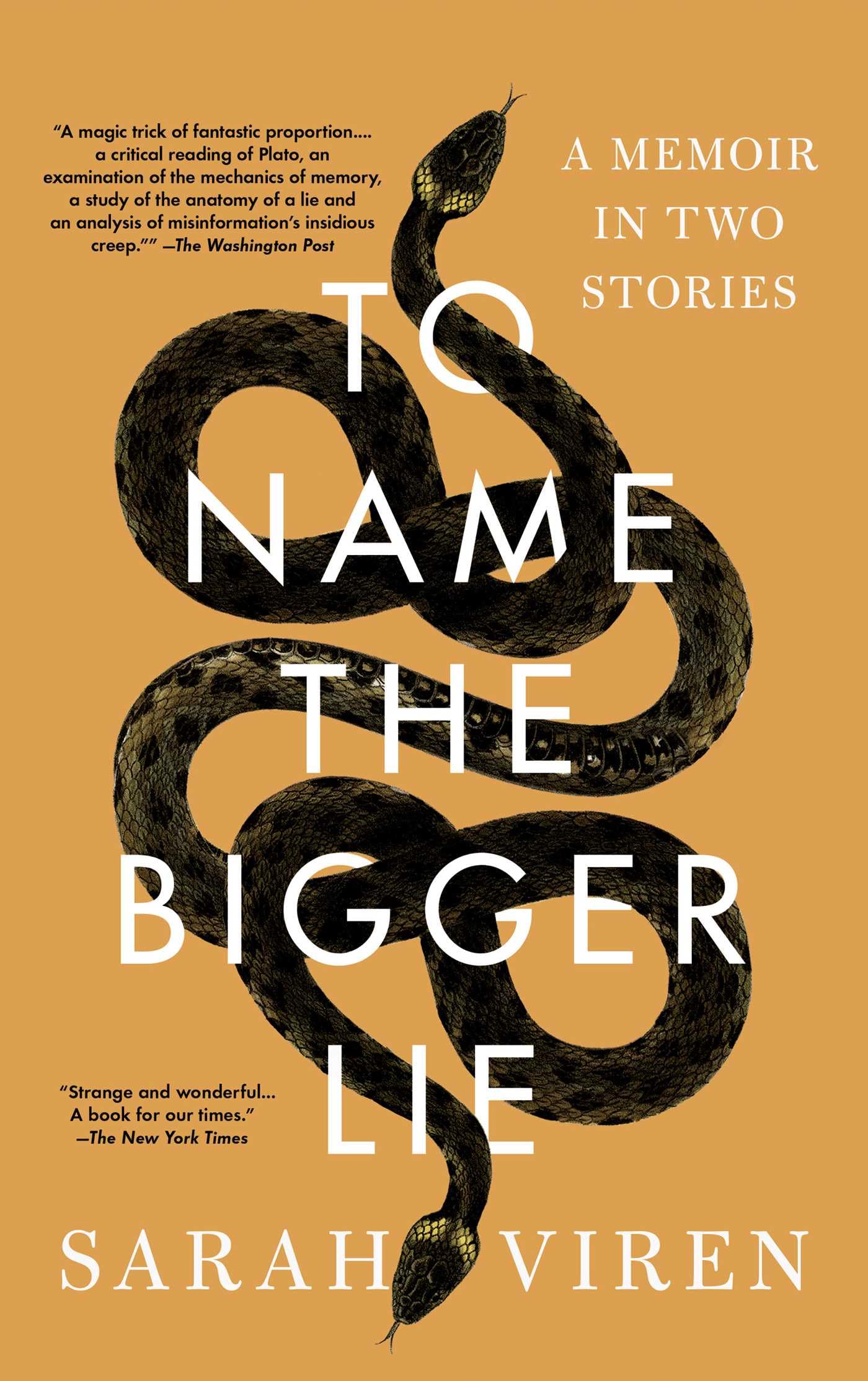 To Name the Bigger Lie: A Memoir in Two Stories,New