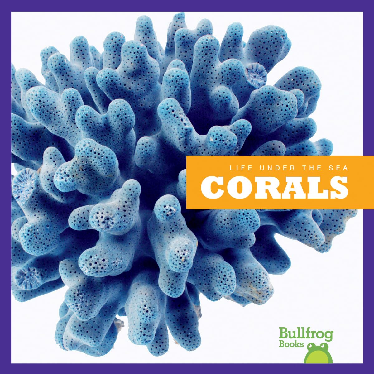 Corals (Bullfrog Books: Life Under The Sea),Used