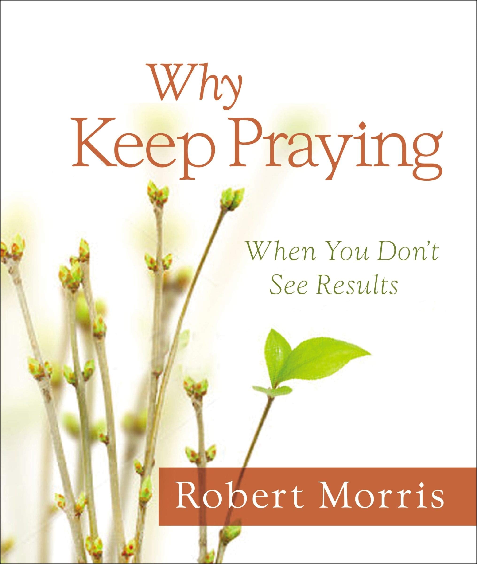 Why Keep Praying?: When You Don't See Results,Used