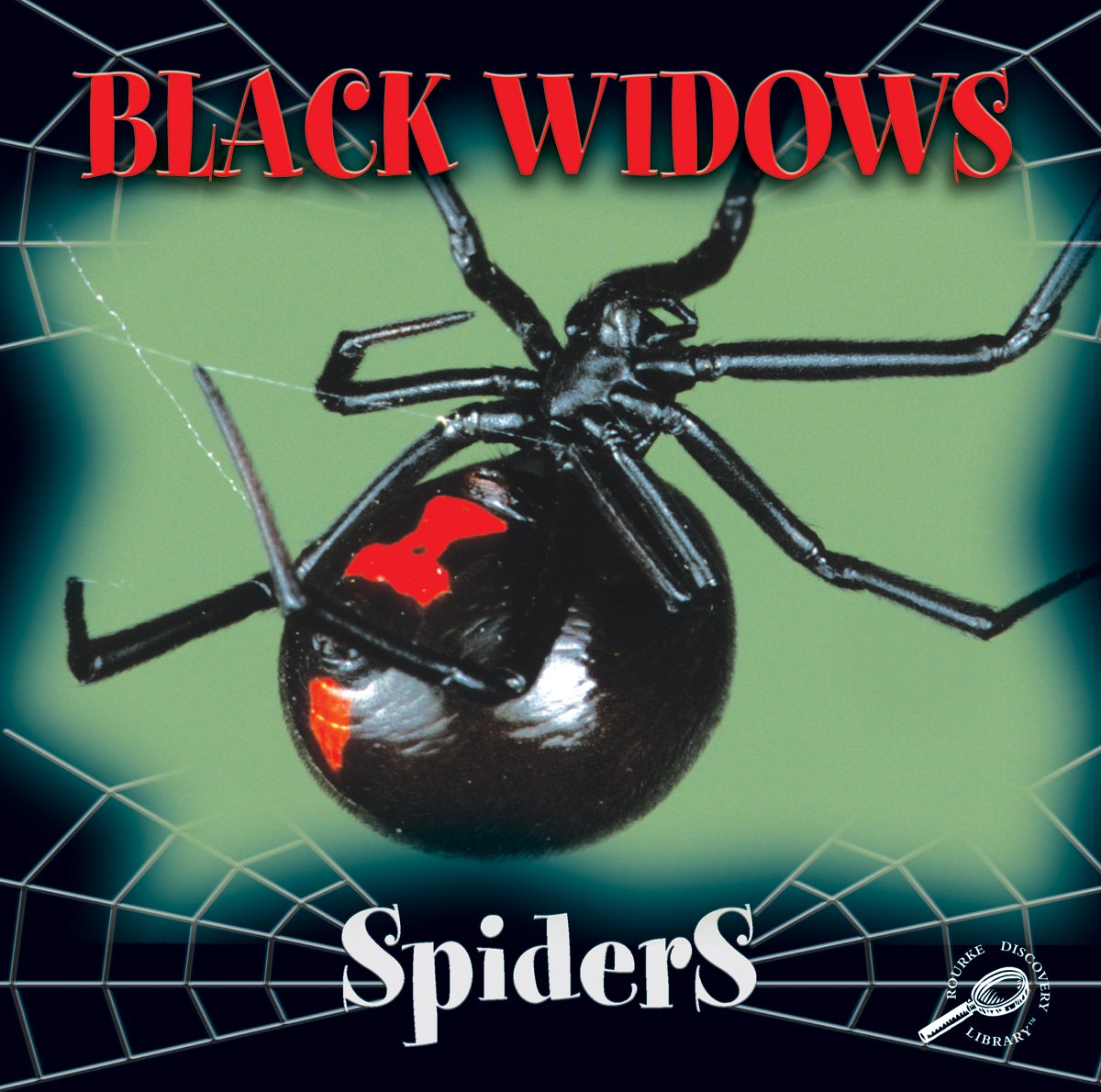 Black Widows (Spiders Discovery Library),Used