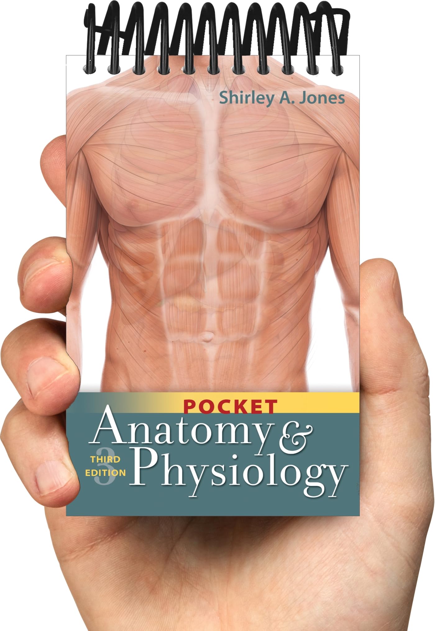 Pocket Anatomy And Physiology