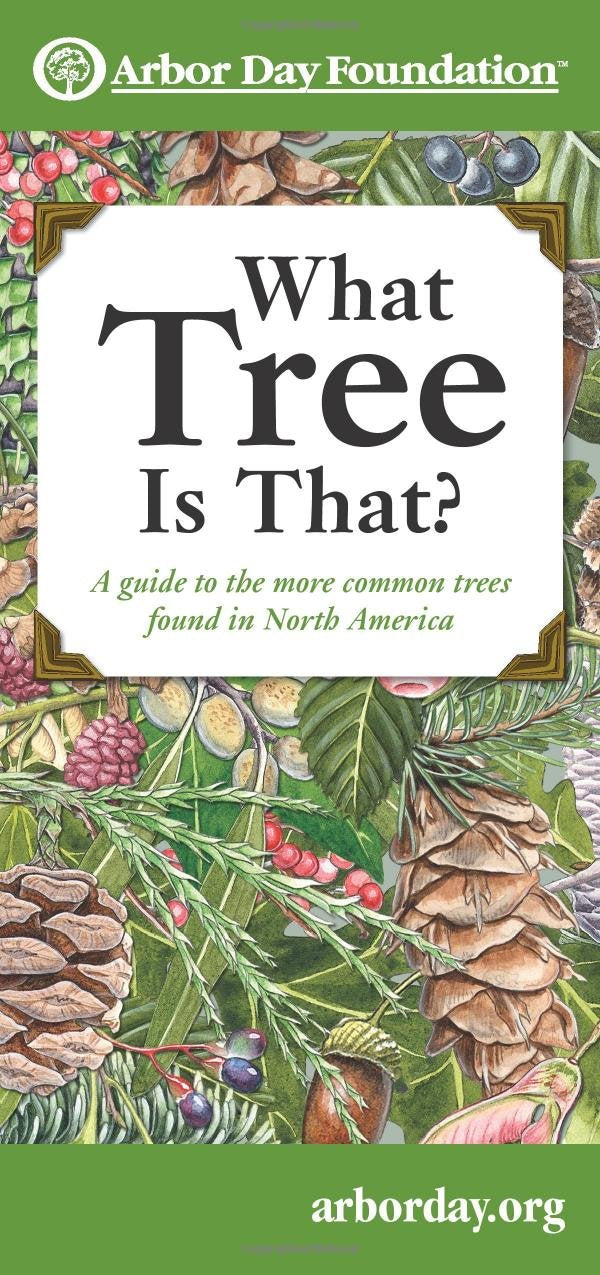What Tree Is That?: A Guide to the More Common Trees Found in North America (Mom's Choice Awards Recipient),Used