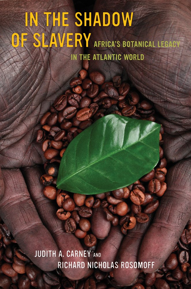 In the Shadow of Slavery: Africas Botanical Legacy in the Atlantic World,Used