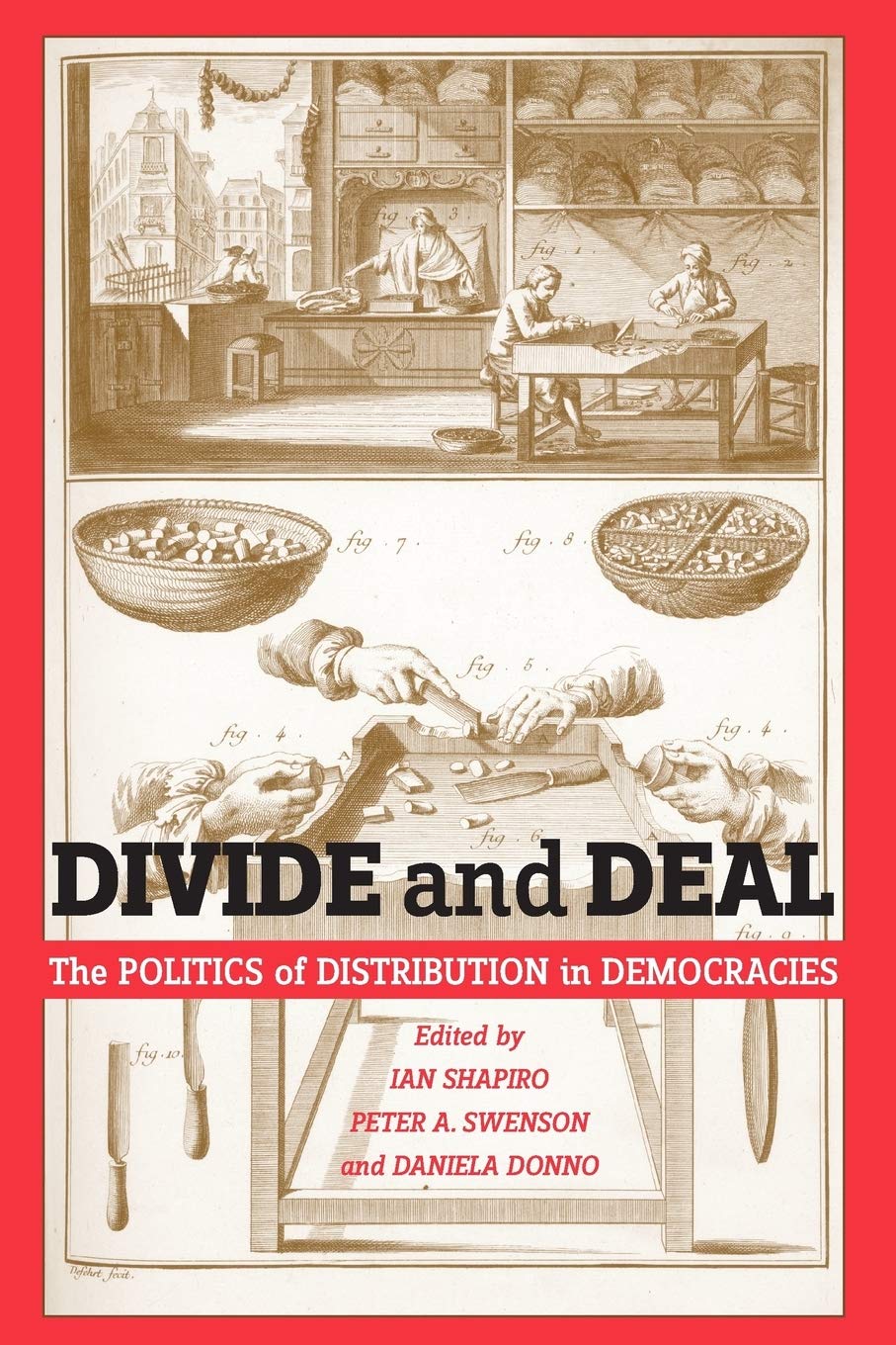 Divide And Deal: The Politics Of Distribution In Democracies,Used