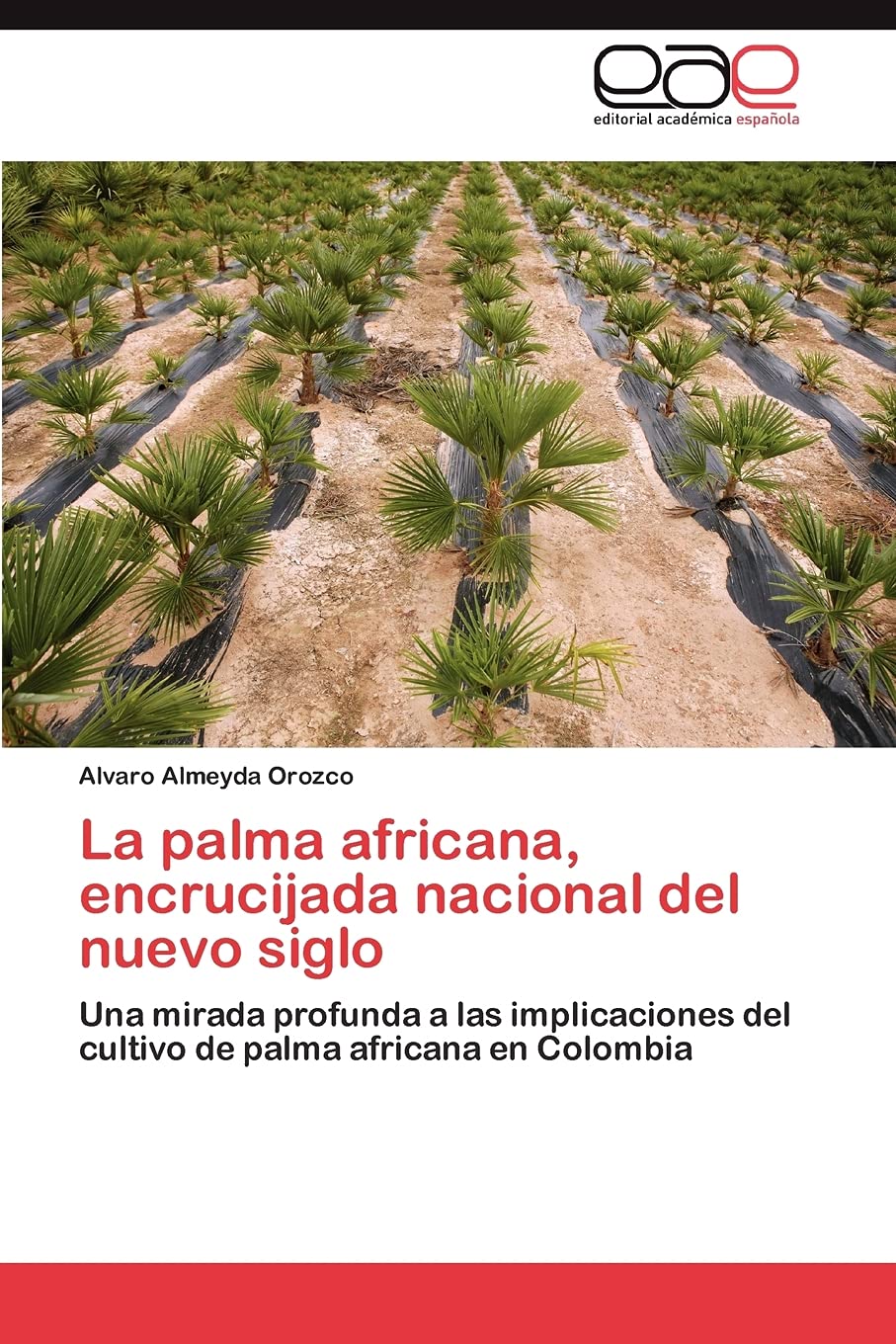 La palma africana, encrucijada nacional del nuevo siglo: Una mirada profunda a las implicaciones del cultivo de palma africana e,Used