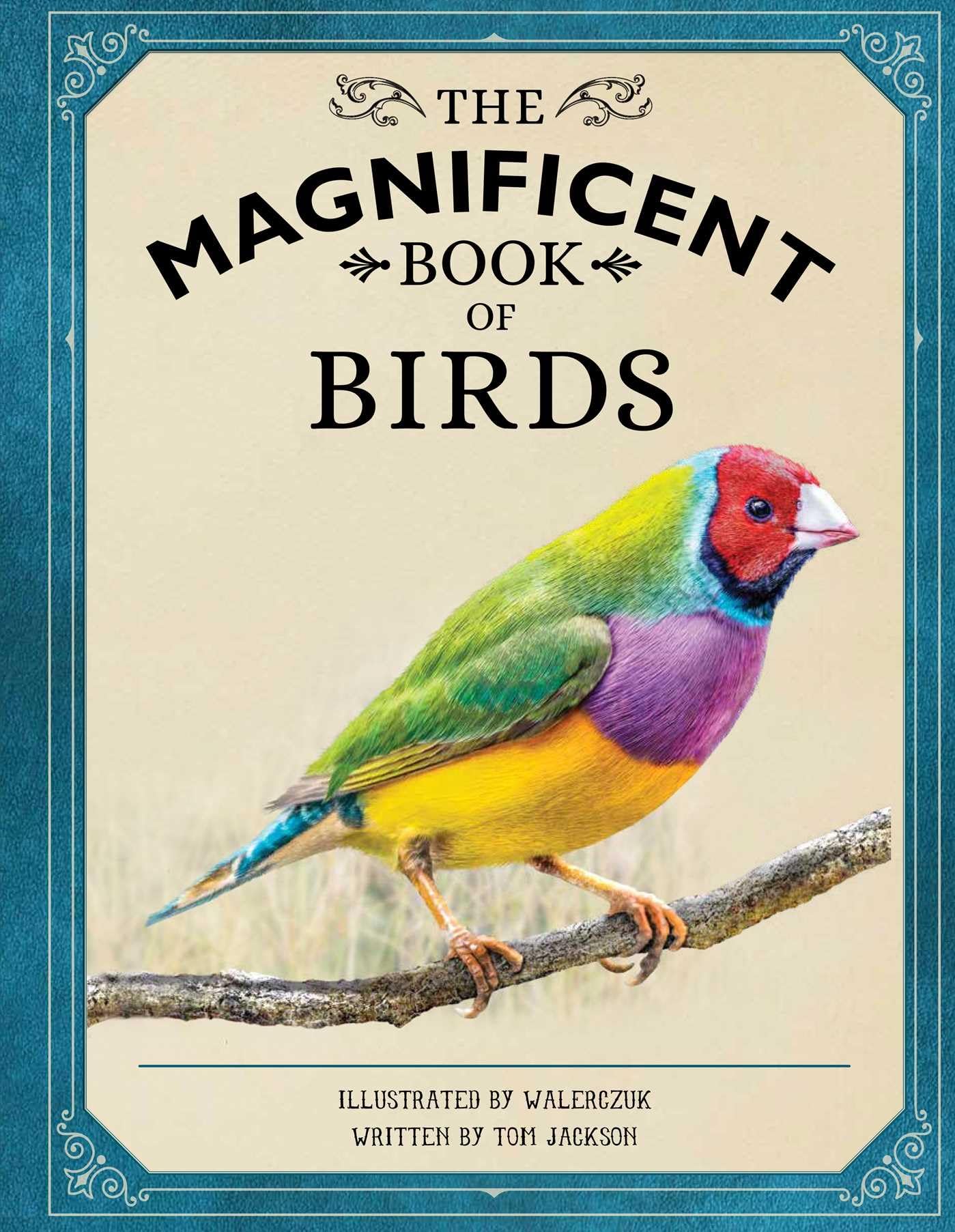 The Magnificent Book of Birds,Used