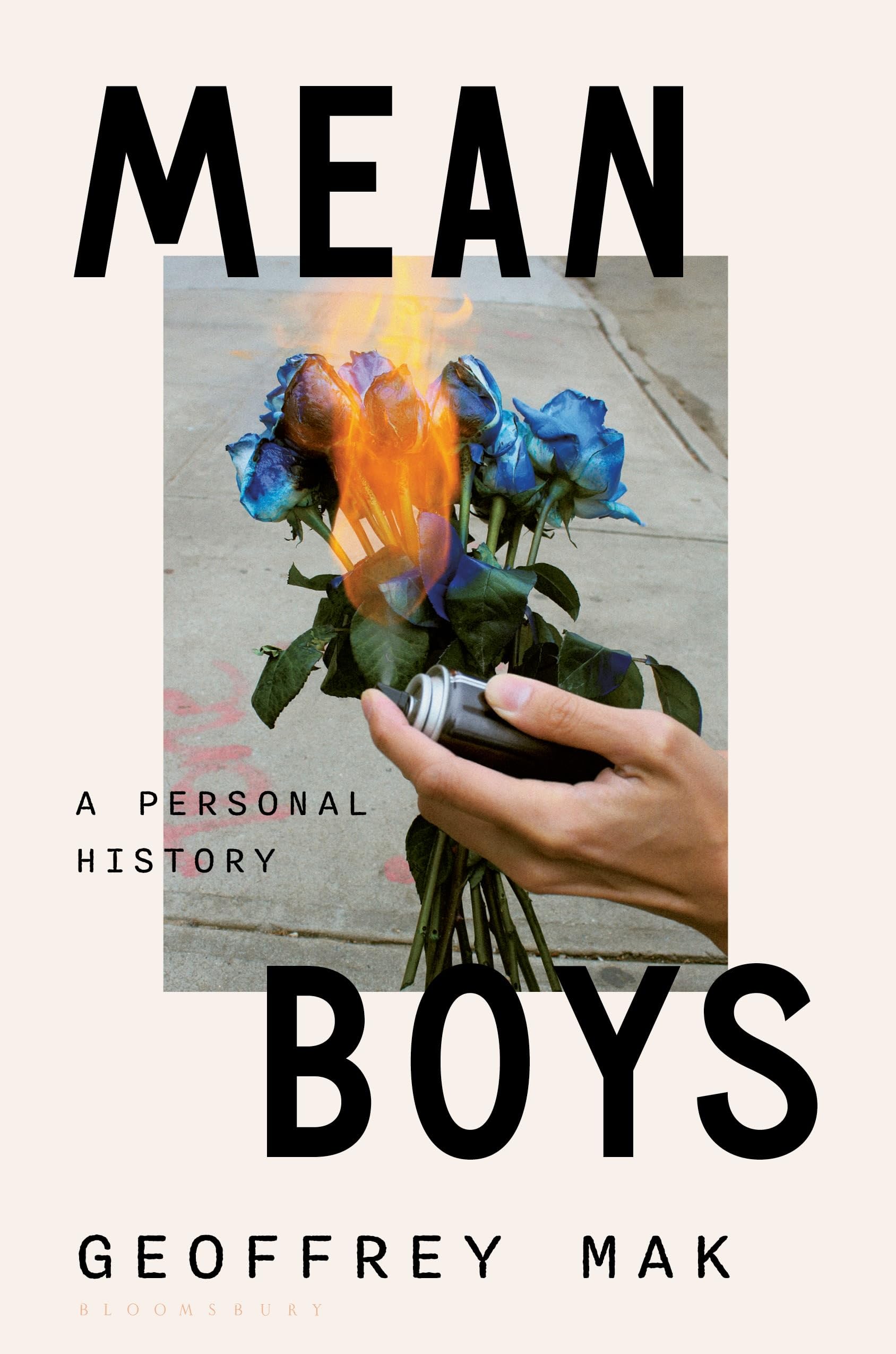 Mean Boys: A Personal History,Used