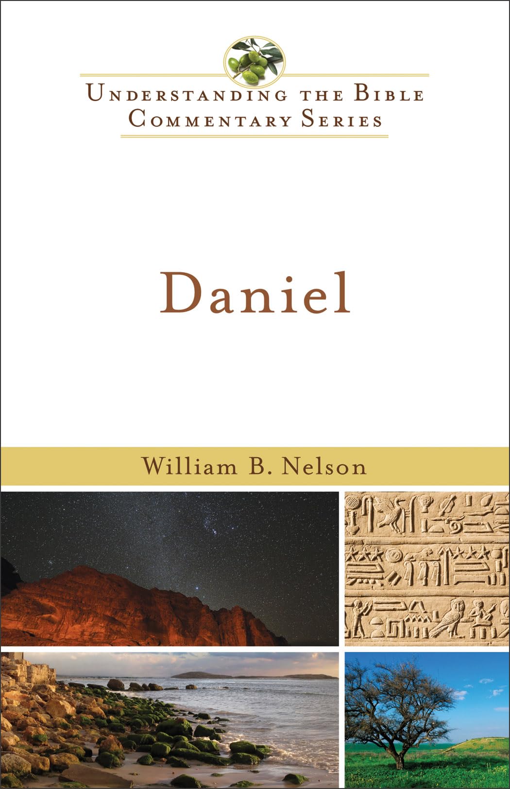 Daniel (Understanding The Bible Commentary Series),New