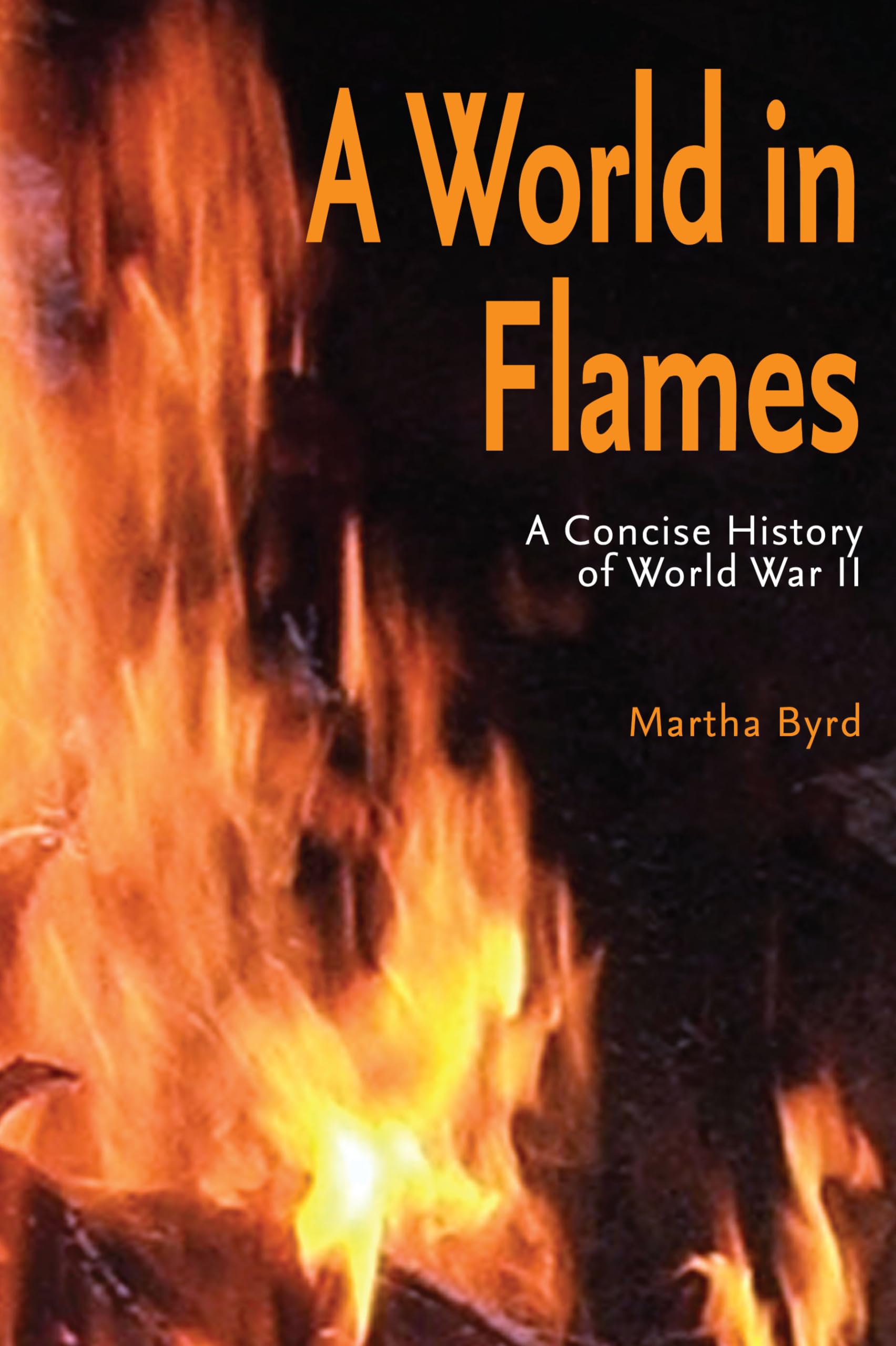 A World In Flames: A Concise Military History Of World War Ii,Used